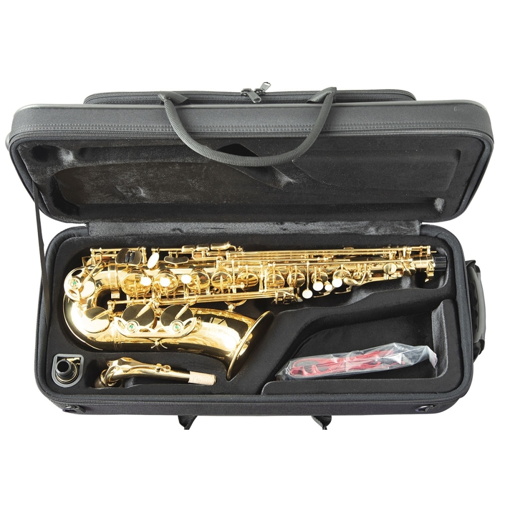 Trevor James 'The Horn' Alto Saxophone Gold Lacquer