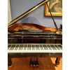 SOLD: W. Hoffmann Model T186 Grand Piano in Black Polyester
