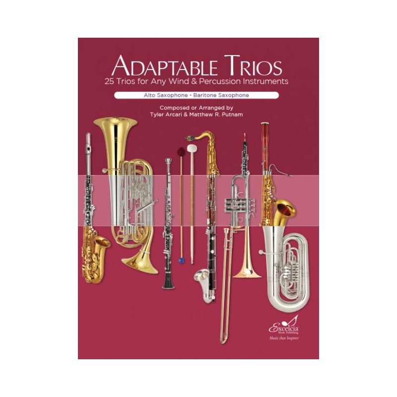 Arcari & Putnam - Adaptable Trios 