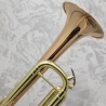 Vincent Bach TR-355G Bb Trumpet Outfit