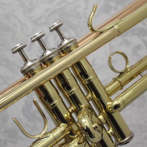 Vincent Bach TR-355G Bb Trumpet Outfit