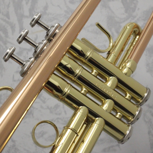 Vincent Bach TR-355G Bb Trumpet Outfit