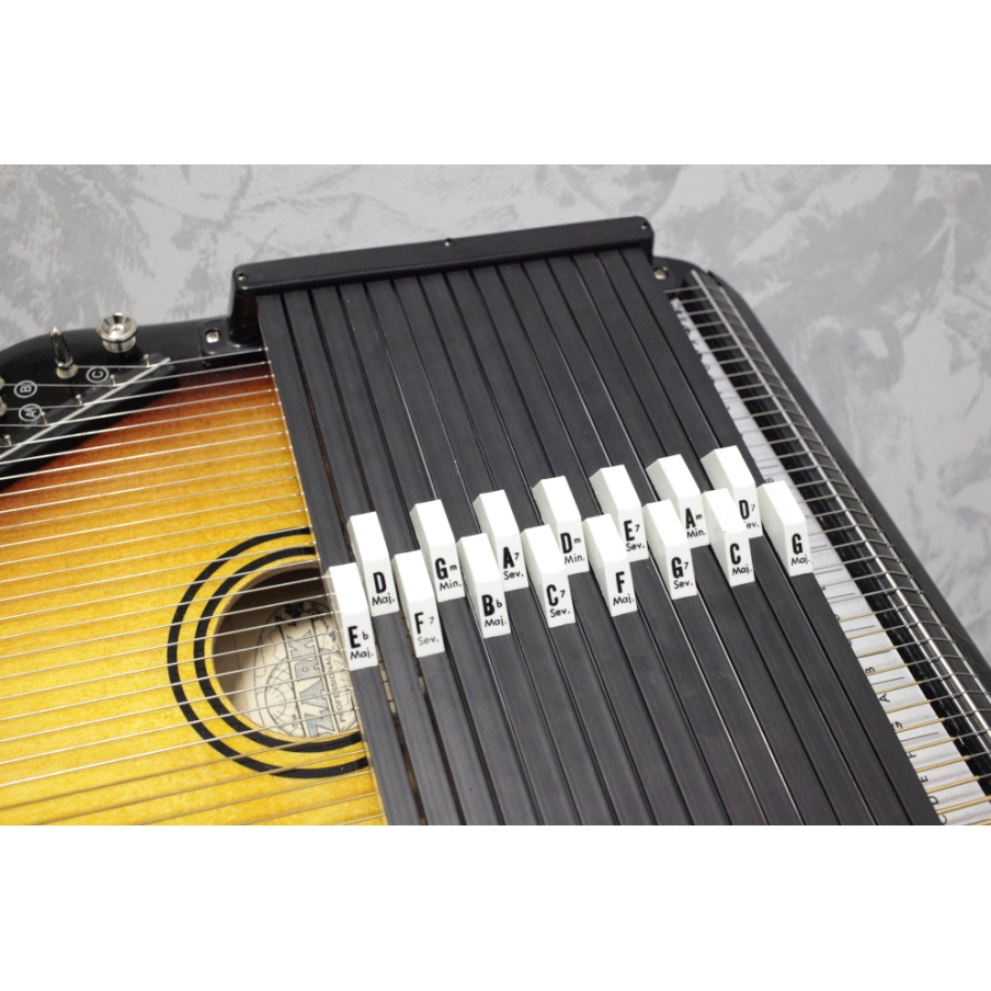 Ozark 2213 15 Bar Autoharp