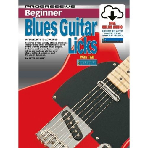 Progressive Beginner Blues Lead Guitar Licks