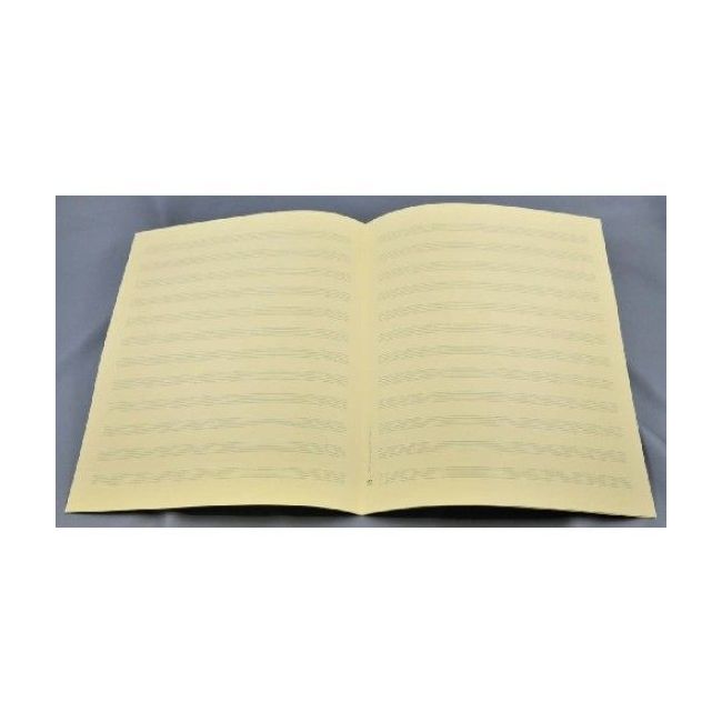 Music manuscript paper - Star-Matt 12 staves