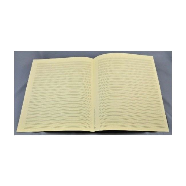 Music manuscript paper - Star-Matt 24 staves