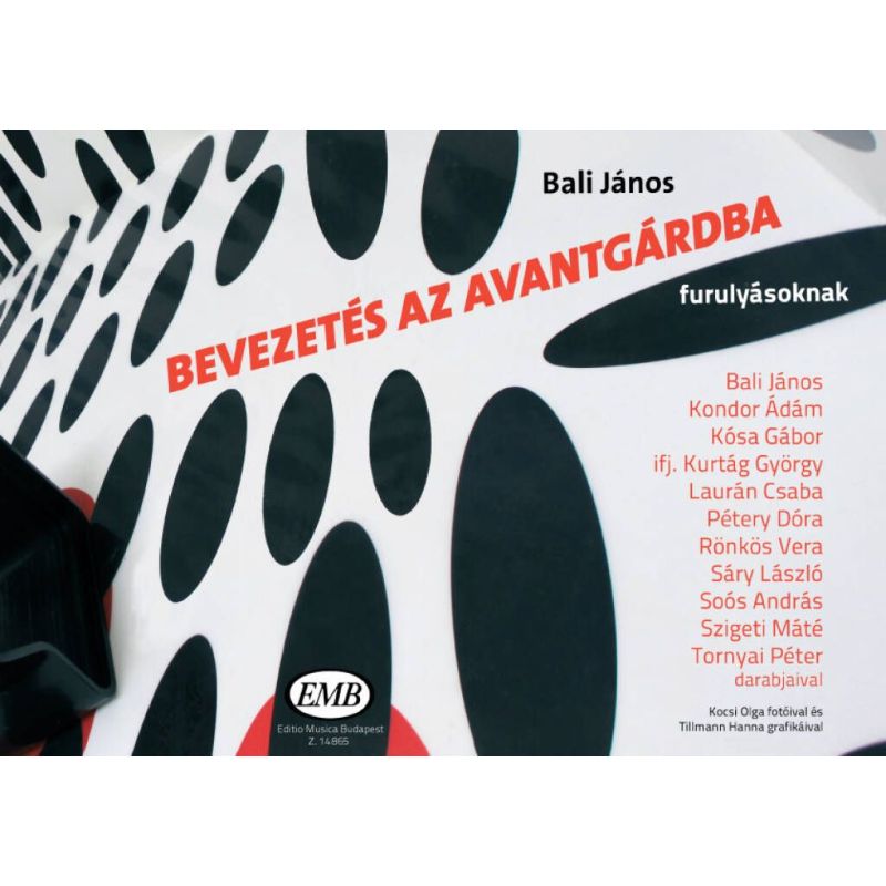 Bali, János - Bevezetes az avantgardba