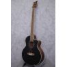 Ortega D8CE-4 Deep Series 4 String Acoustic Bass