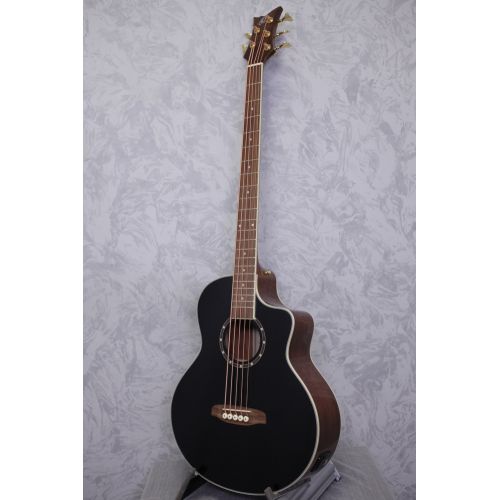 Ortega D8CE-5 Deep Series 5 String Acoustic Bass