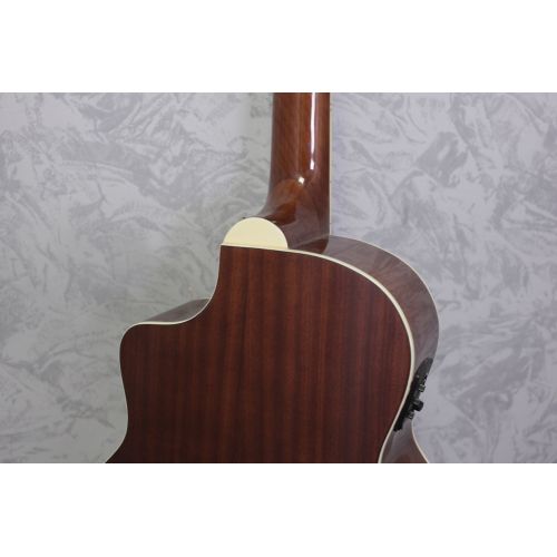 Ortega D8CE-5 Deep Series 5 String Acoustic Bass