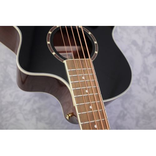 Ortega D8CE-5 Deep Series 5 String Acoustic Bass