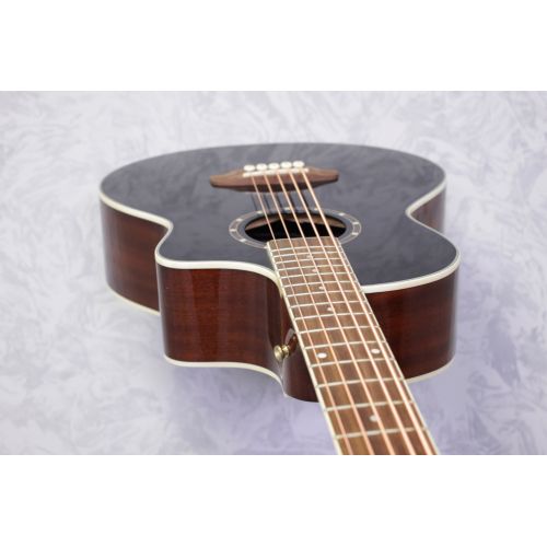 Ortega D8CE-5 Deep Series 5 String Acoustic Bass