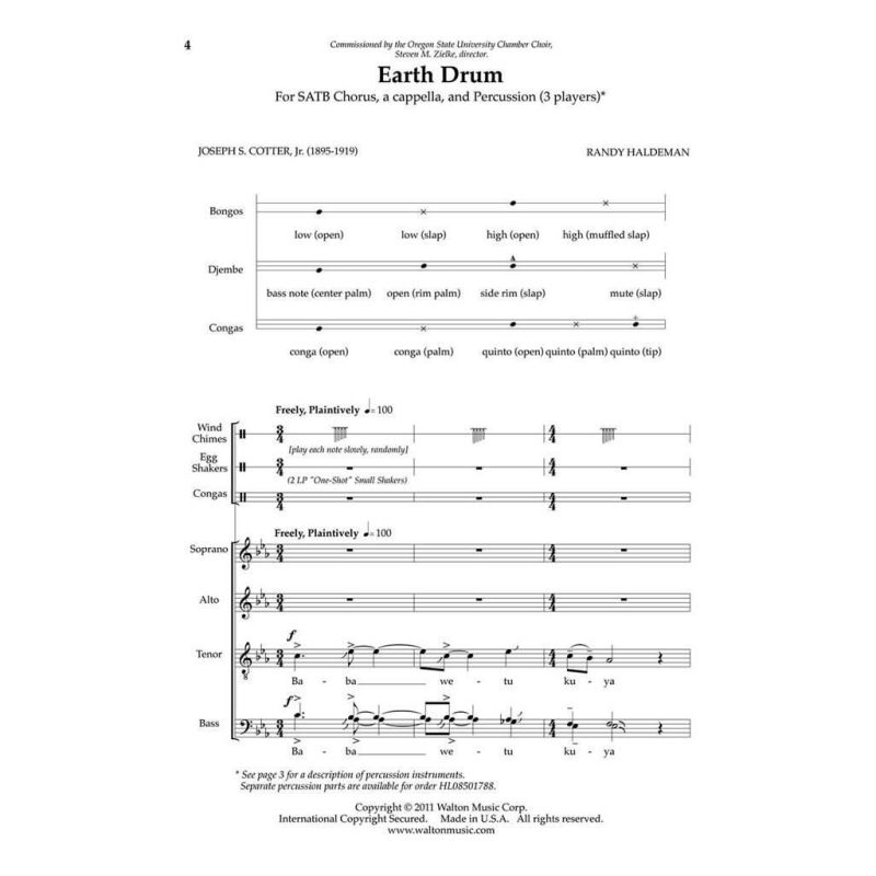 Haldeman, Randy - Earth Drum