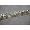 Altus 1107RE Flute Outfit